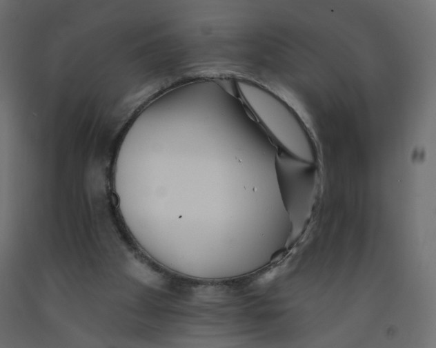 X0000092080105200710101048