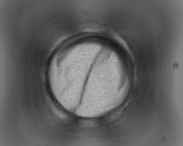 X0000092080106200710101048