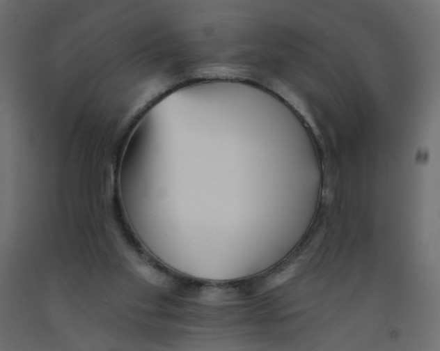 X0000092080109200710101048