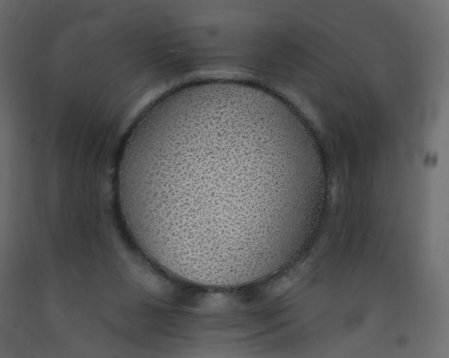 X0000092080111200710101048