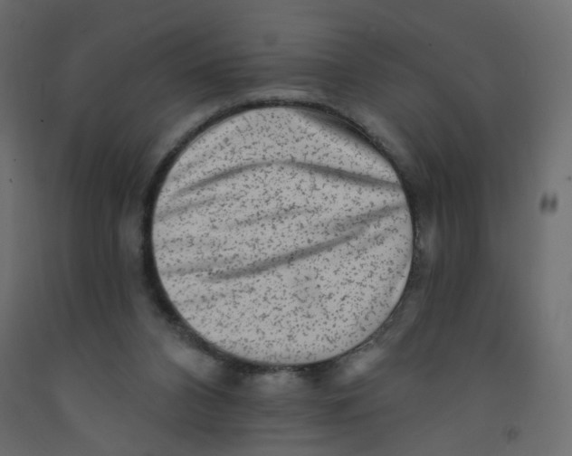 X0000092080112200710101048