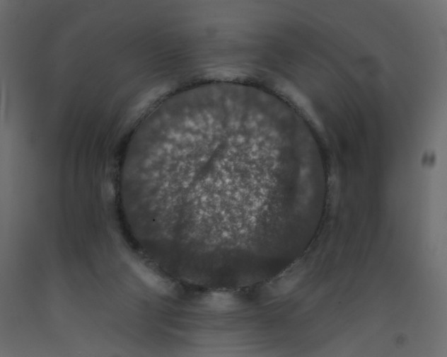 X0000092080114200710101048