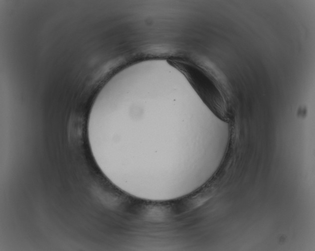 X0000092080115200710101048