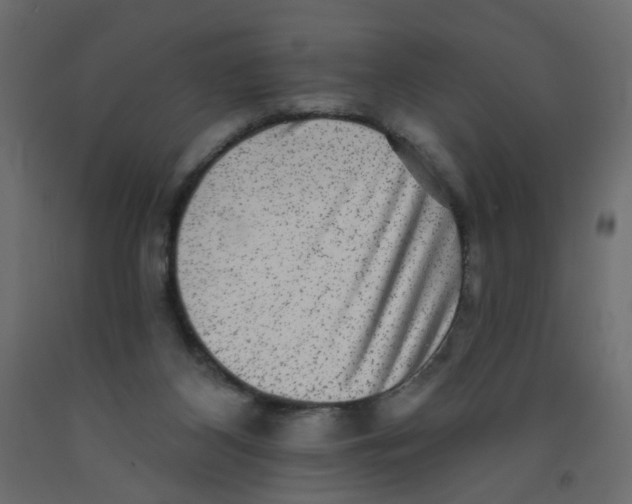 X0000092080116200710101048