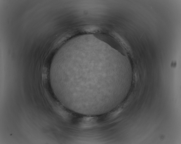 X0000092080117200710101048