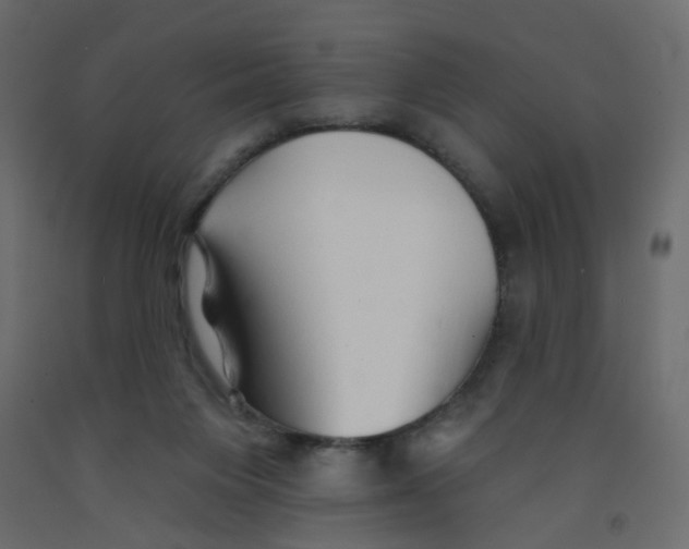 X0000092080119200710101048