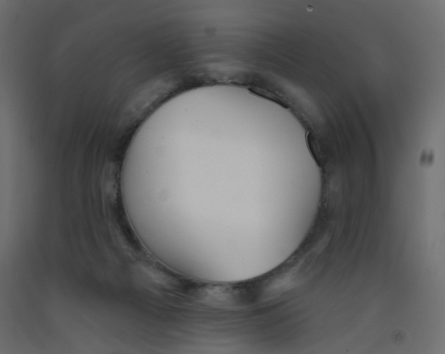 X0000092080121200710101048