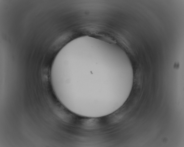 X0000092080122200710101048