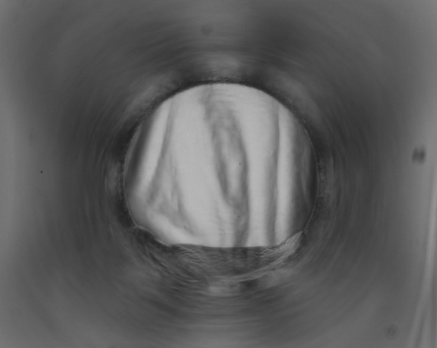 X0000092080123200710101048