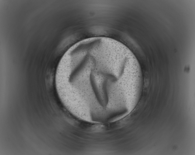 X0000092080124200710101048