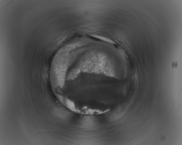 X0000092080127200710101048