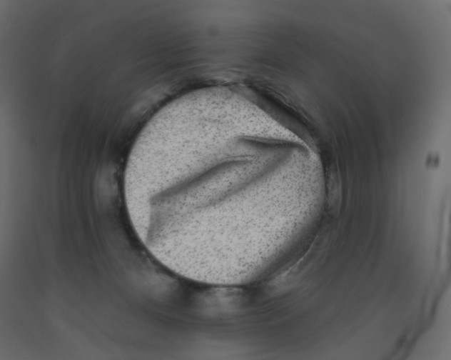 X0000092080128200710101048