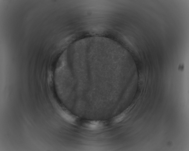 X0000092080130200710101048