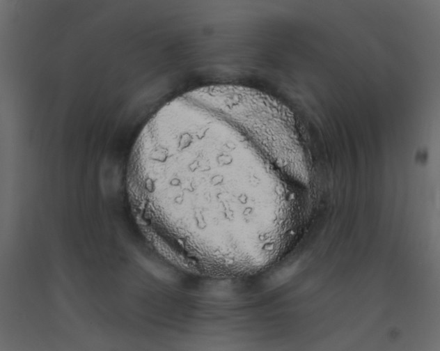 X0000092080131200710101048