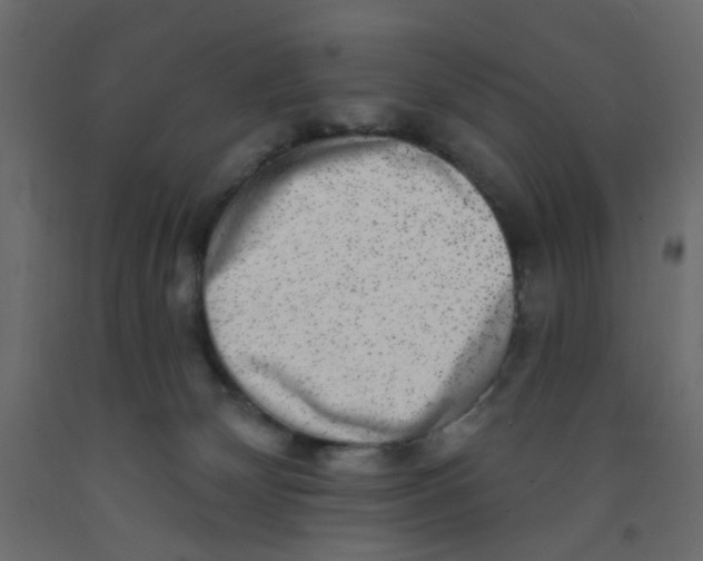 X0000092080132200710101048