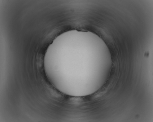 X0000092080133200710101048