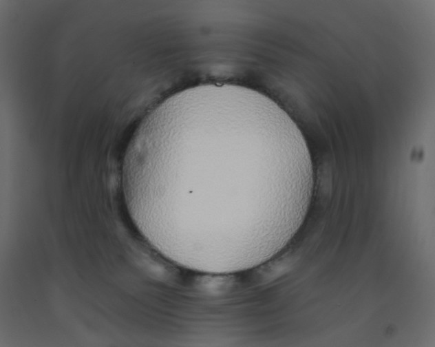 X0000092080135200710101048