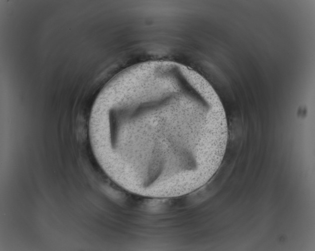 X0000092080136200710101048