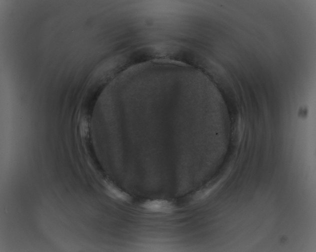 X0000092080137200710101048