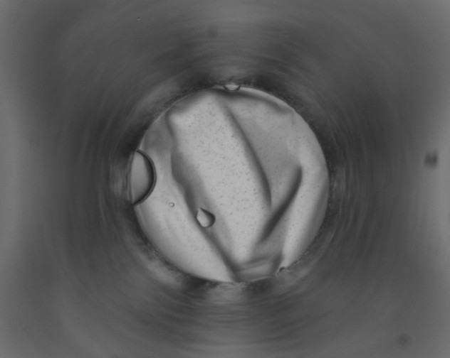 X0000092080138200710101048