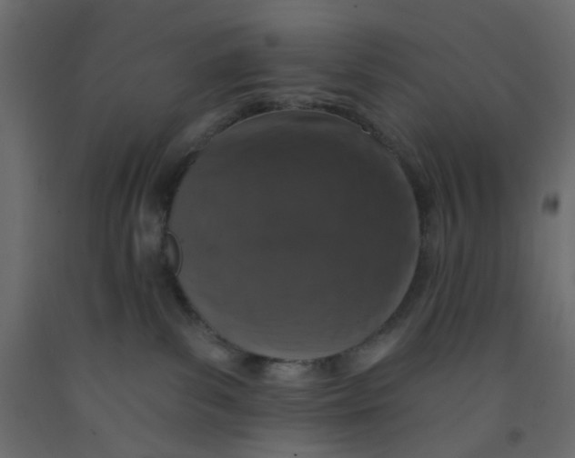 X0000092080139200710101048