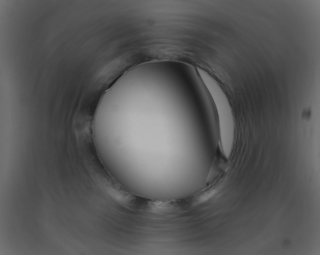 X0000092080141200710101048