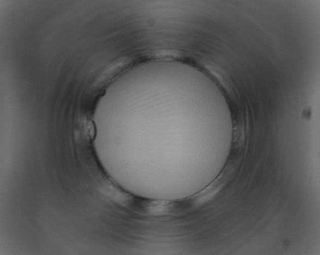 X0000092080142200710101048