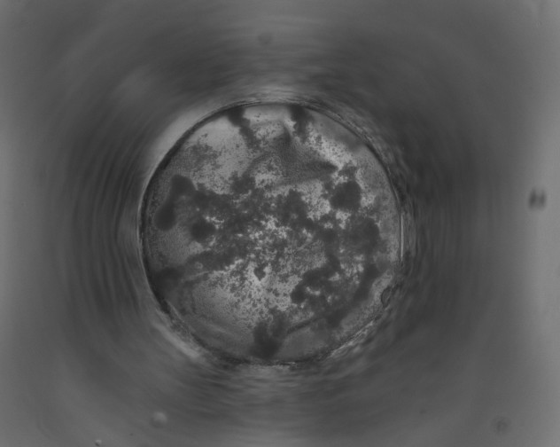 X0000092080147200710101047