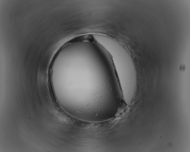 X0000092080148200710101047