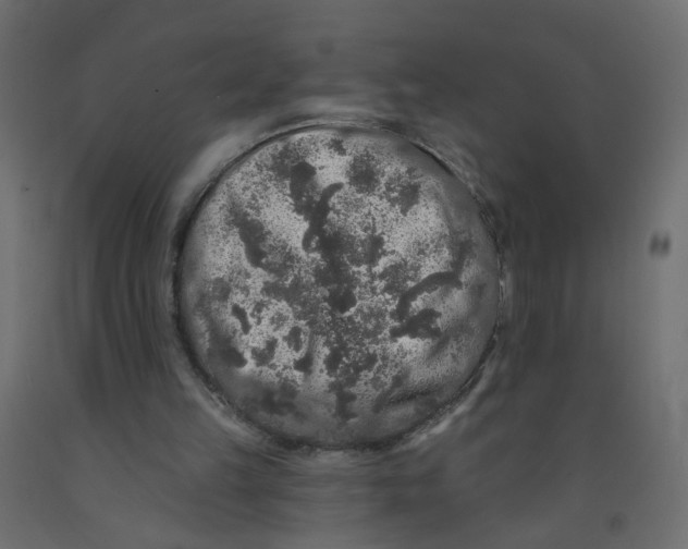 X0000092080149200710101047