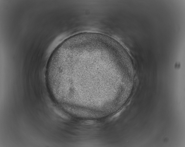 X0000092080151200710101047