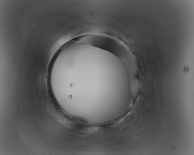 X0000092080152200710101047