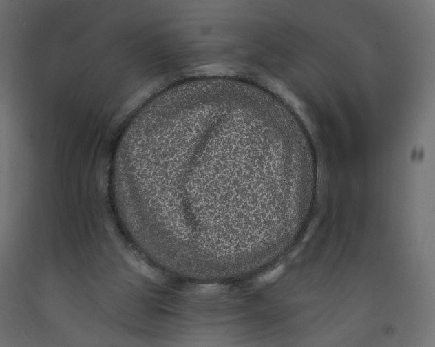 X0000092080153200710101047