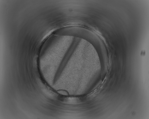 X0000092080154200710101047