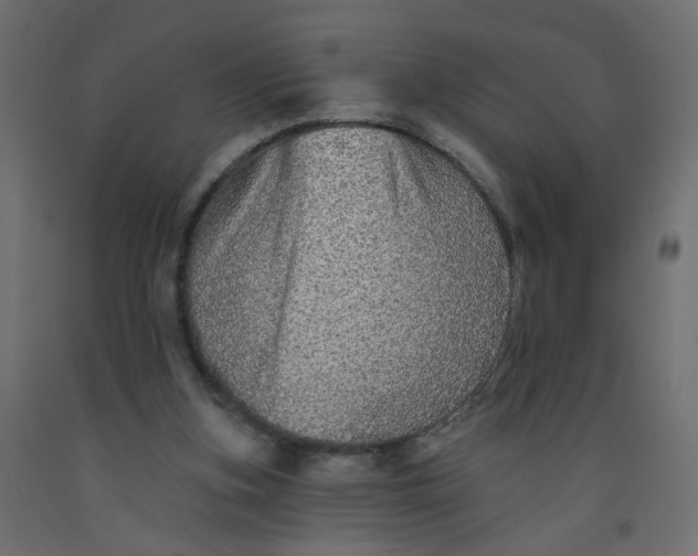 X0000092080155200710101047