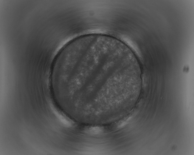 X0000092080156200710101047