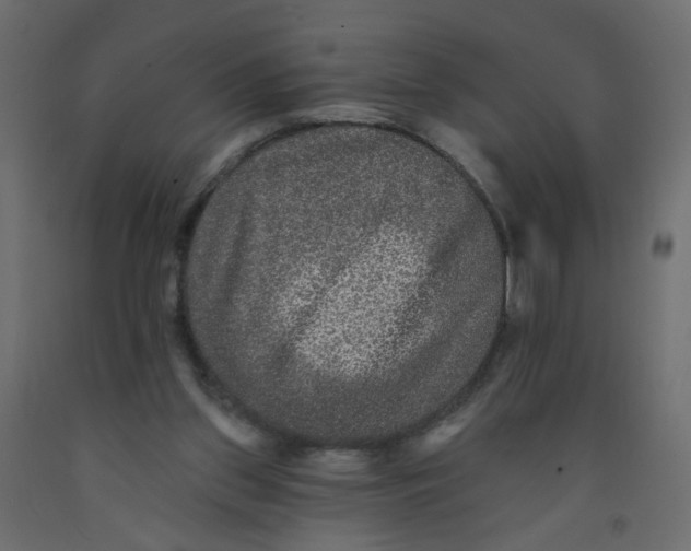 X0000092080157200710101047