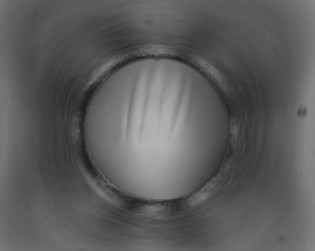 X0000092080158200710101047