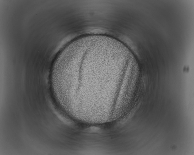 X0000092080159200710101047