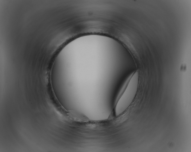 X0000092080160200710101047