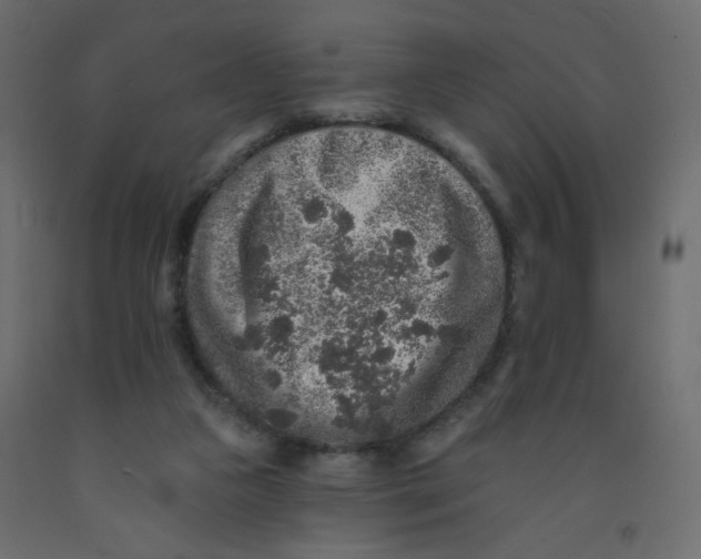 X0000092080161200710101047