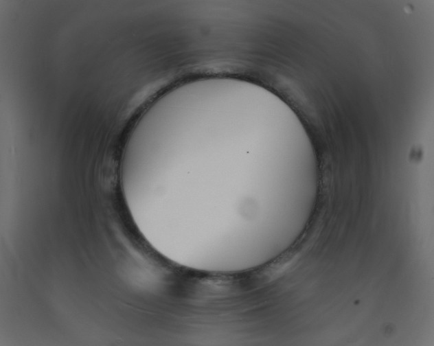 X0000092080164200710101047