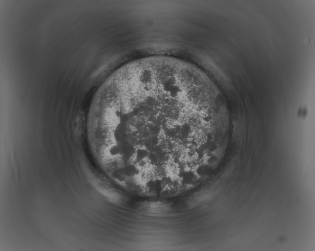 X0000092080165200710101047