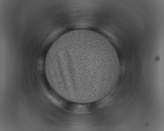 X0000092080166200710101047