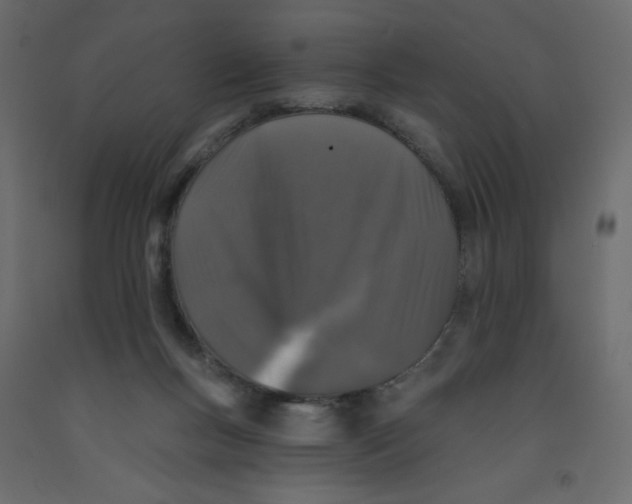 X0000092080167200710101047