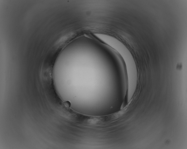 X0000092080172200710101047