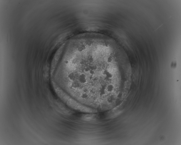 X0000092080175200710101047