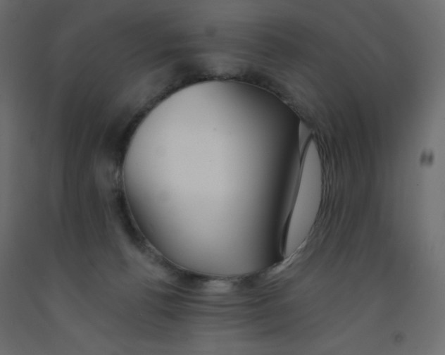 X0000092080176200710101047