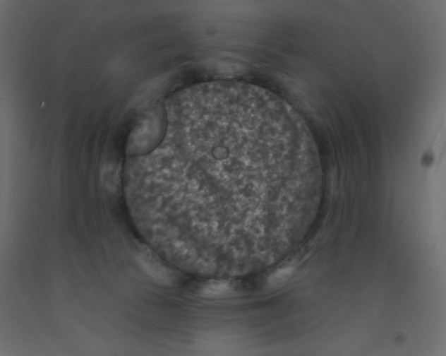 X0000092080177200710101047