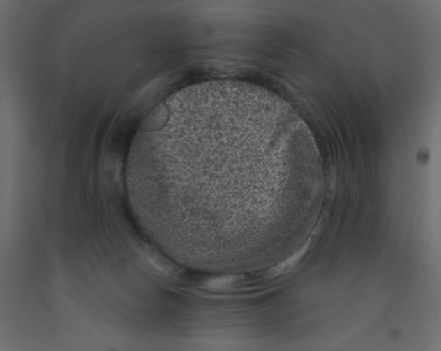 X0000092080178200710101048